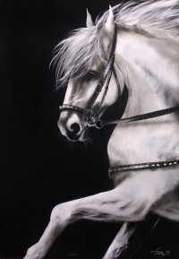 Irfan Ahmed, 24 x 36 Inch, Oil on Canvas, Horse Painting, AC-IRA-031